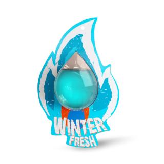 Ароматизатор AVS FireFresh Winter Fresh/Зимняя свежесть WDM-008 мембранный 